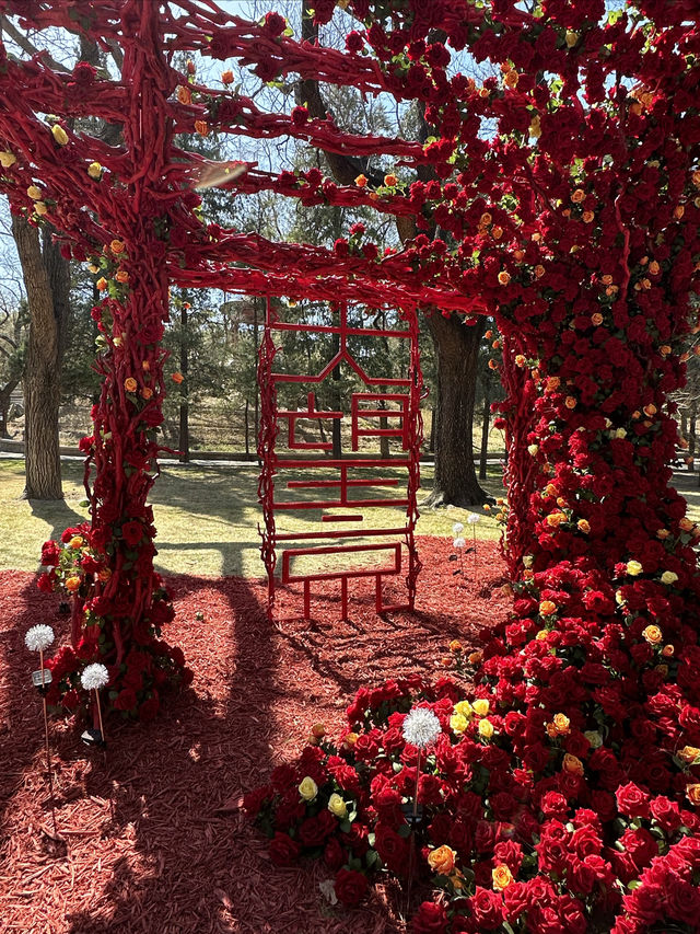 魅力花園節 約會春天裡