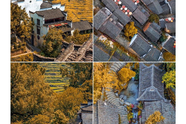 The world's best tourist village, the autumn drying in Wuyuan Huangling ...