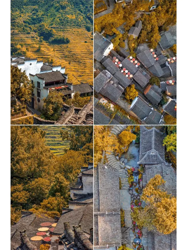 The world's best tourist village, the autumn drying in Wuyuan Huangling is absolutely amazing