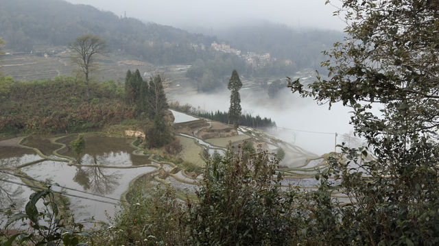 元陽梯田～～麻栗寨觀景台