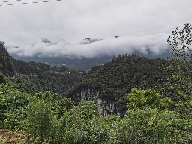 屏山峽谷：靜謐之中隱風物，奇幻以外藏乾坤