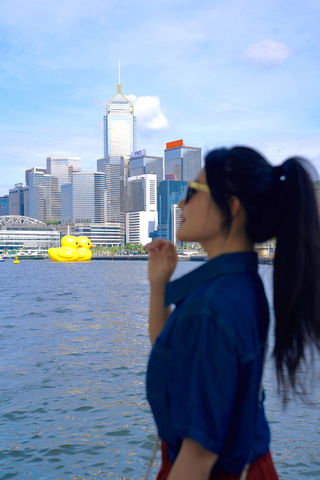 香港新展|大黃鴨在維港游泳嬉戲辣 香港新展|大黃鴨在維港游泳嬉戲辣