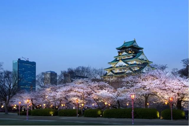 大阪城公園：欣賞數百株櫻花盛開的美景