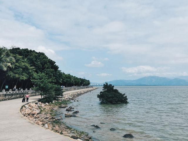 在地鐵口就能看到海的公園丨深圳最好的跑步騎行地