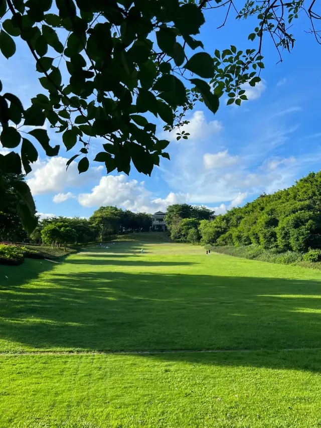 深セン公園の天井｜大沙河公園