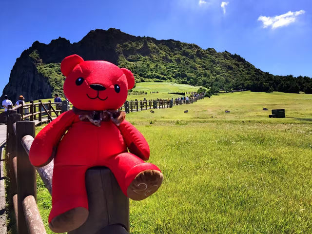 有層次的美@濟州島