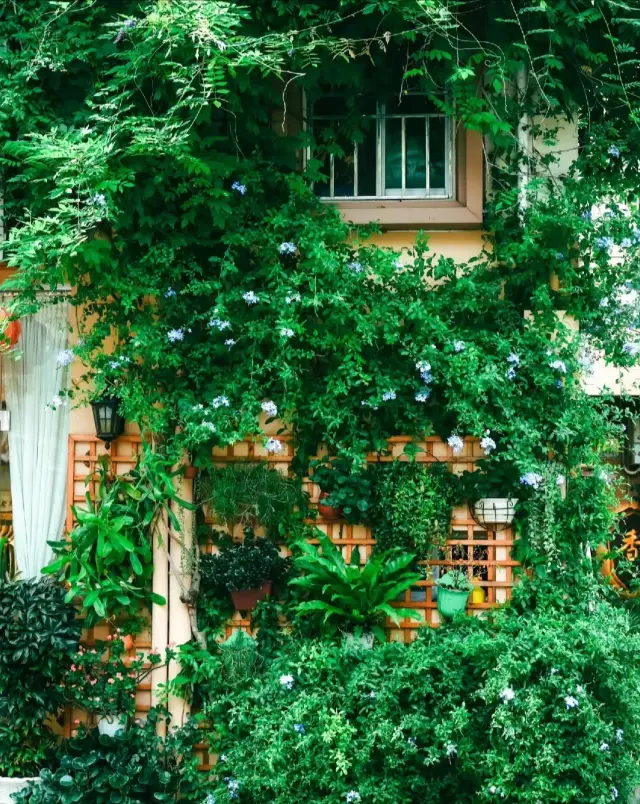 住在爬滿綠植的房子一定會每天都很開心吧