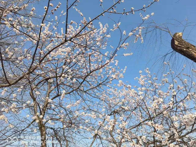 The Past and Present of Kunming Lake, the Lifeline of Beijing