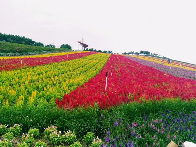 深圳東部華僑城｜一個來了還想再來的地方