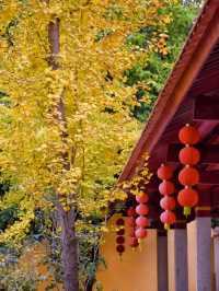 泉州寶藏小眾寺院｜避開人潮靜心聆聽