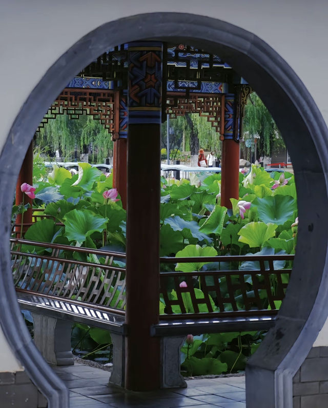 周末親子好去處！！！