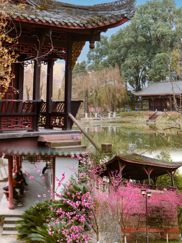 在成都丨唯一我想去無數次的公園！