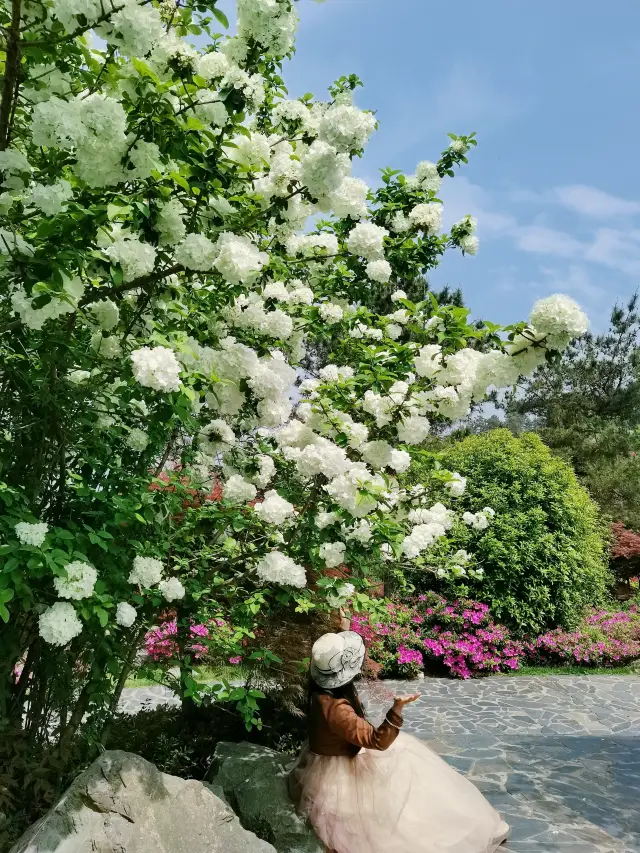 五一全家旅行好去處，孩子們的遊樂場，媽媽們的大花園