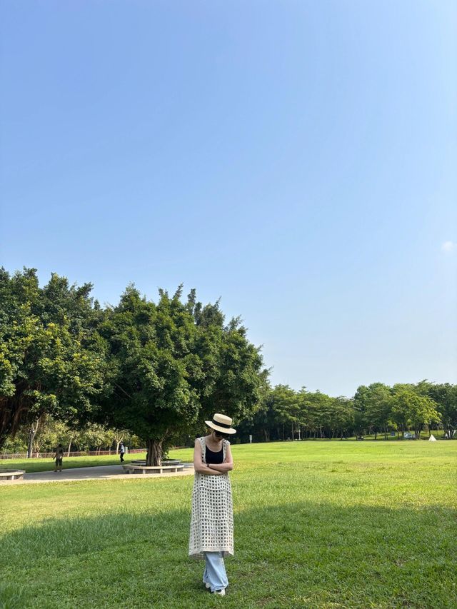 必去！不花錢！深圳公園天花板！