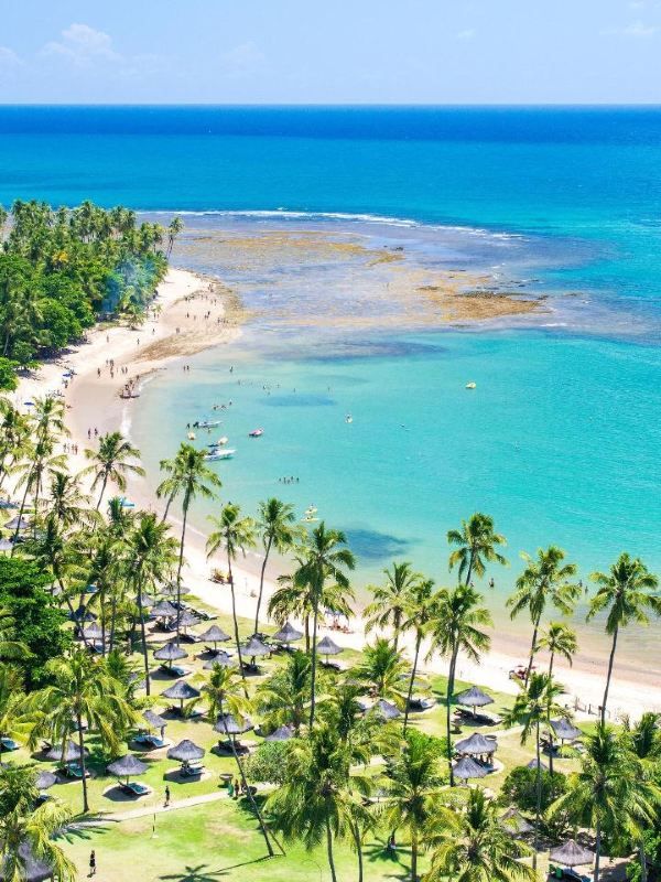 🌴🏨 Unwind in Bahia: Top Ecoresort Picks! 🏖️