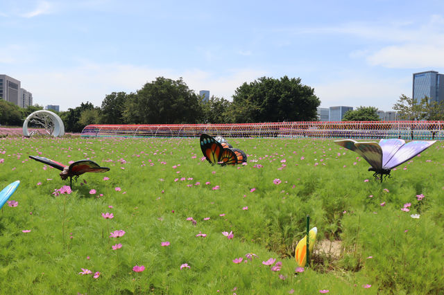 花海公園，攝影愛好者的福地