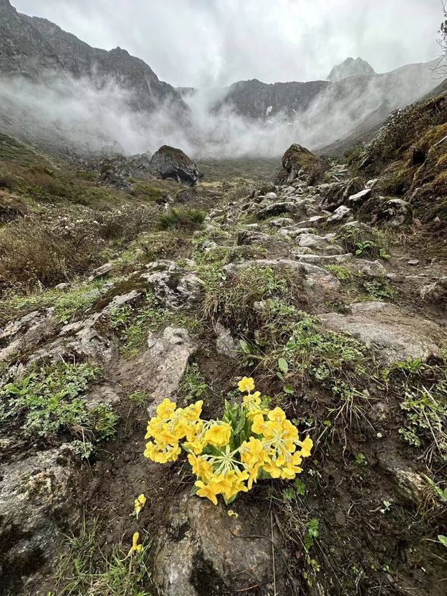 記錄沿途的美麗風景