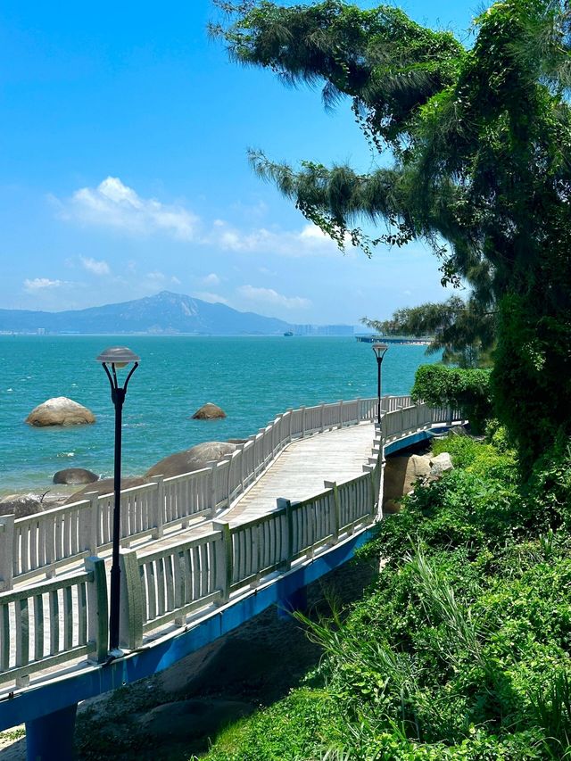 來廈門記住這裡！！！最適合看海的！！！