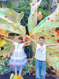 漢海海洋公園又添新耍事，快來和羊咩咩度假
