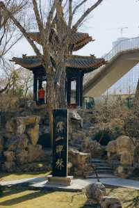 山西·太原|碑林公園打卡
