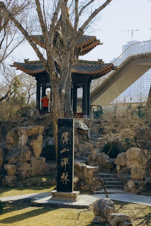 山西·太原|碑林公園打卡