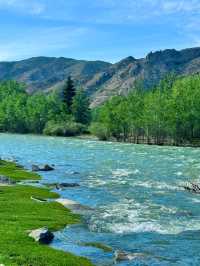 我的阿勒泰之可可托海