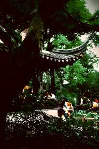 樂遊蘇州留園漫步記