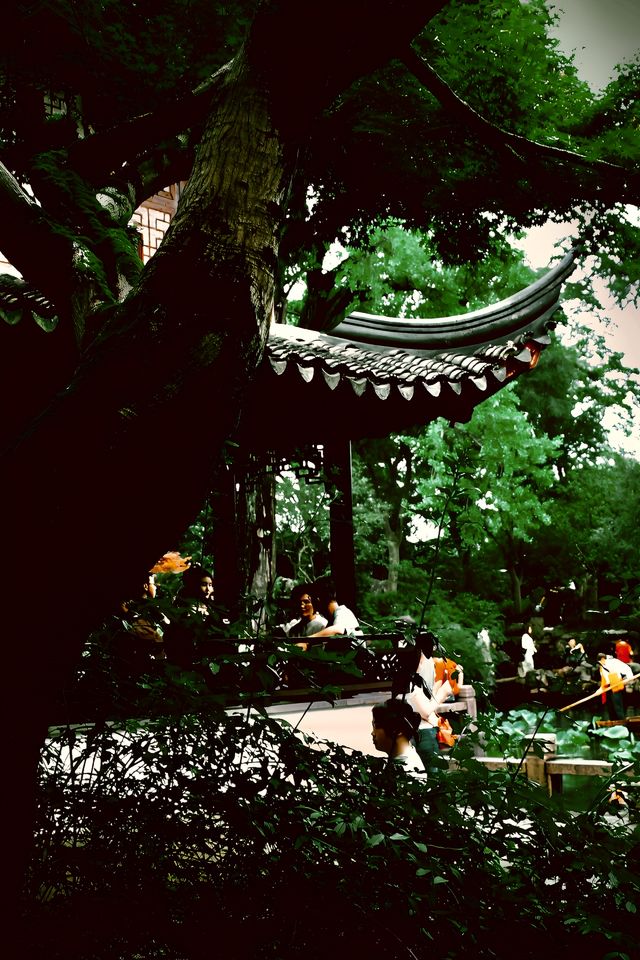 樂遊蘇州留園漫步記