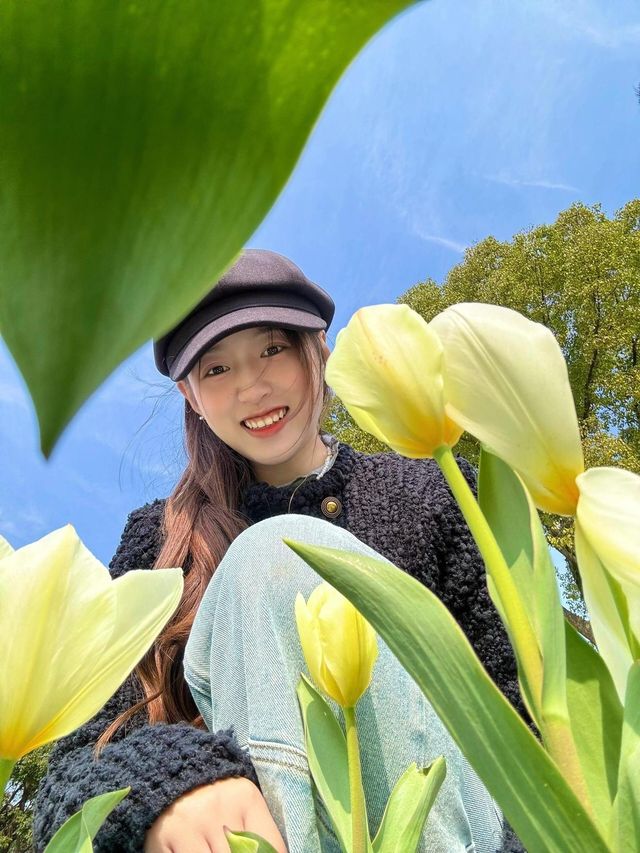寧波日湖公園的鬱金香
