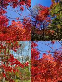 中秋吉林蛟河紅葉谷3天2夜遊攻略