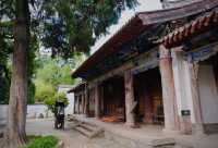 如果說古樹是南郭寺的根，那杜詩就是南郭寺的魂。