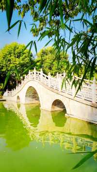 聽講西安豐慶公園錦簇芳菲，打卡過公園"山水綠叢中"才知曉。