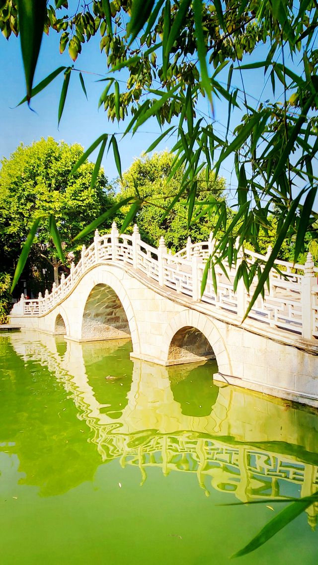 聽講西安豐慶公園錦簇芳菲，打卡過公園"山水綠叢中"才知曉。