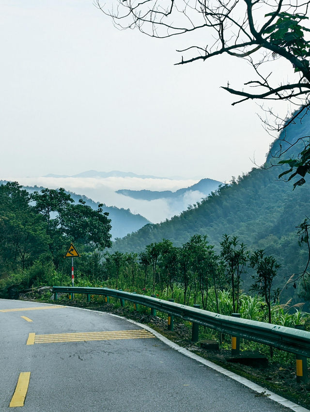 每次登山都能遇到雲海。