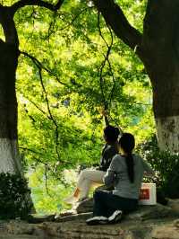 趵突勝境,堪比仙境!。