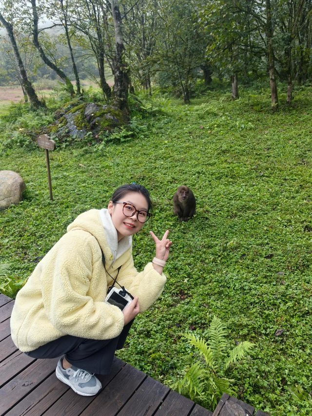 黑竹溝。
