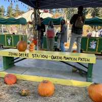 Spooky Halloween Attractions In the Haunted house