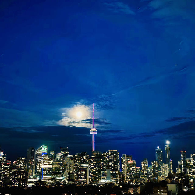 City of Toronto Sign ( Canada)