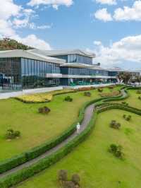 《鄱陽湖畔的奇幻之旅：走進宮崎駿的草海世界》。