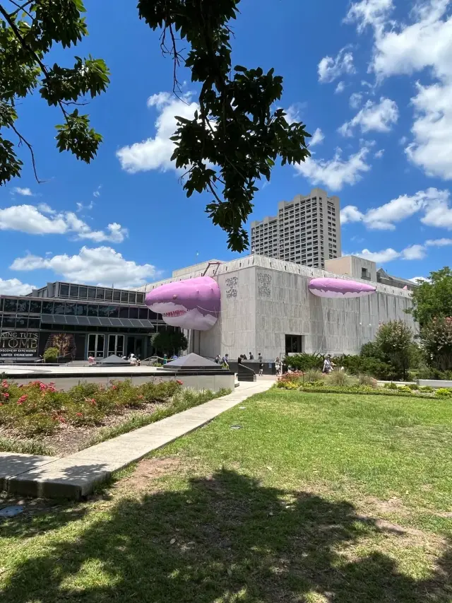 Houston Museum District Travel Guide!
