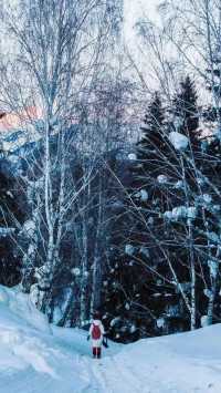 冬日旅行 ｜ 粉雪 新疆。