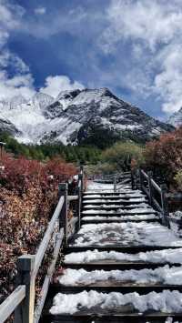 則巴村是否小眾網紅打卡地。
