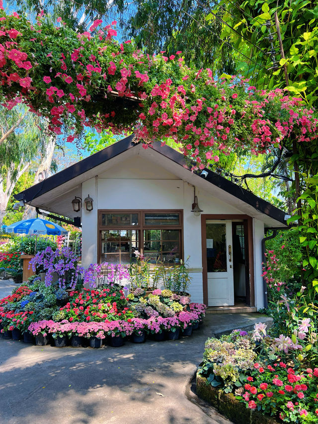 清邁｜鮮花布景的泰式餐廳變成花仙了呀。