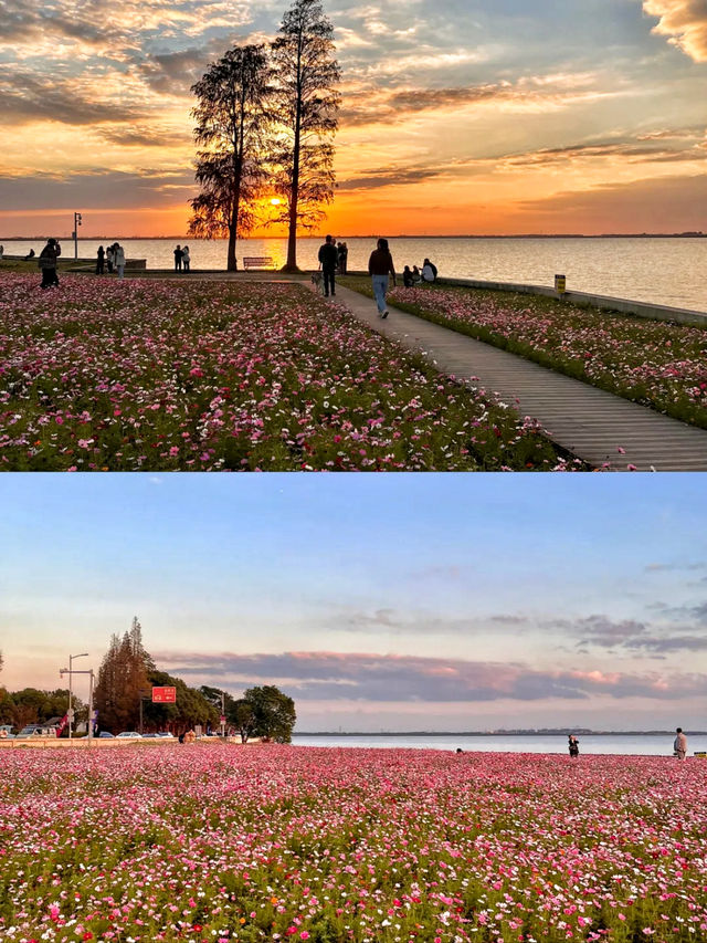 答應我！一定要去上海後花園阿勒泰！附路線哦！。