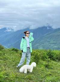四川雲中牧場寵物友好遊玩攻略。