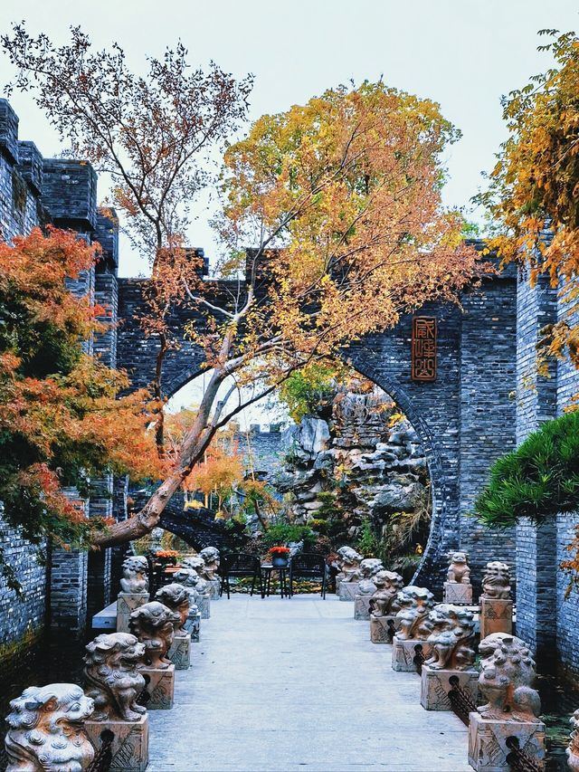 小眾且免費的絕美秋景，務必要來樸園瞧瞧！||。