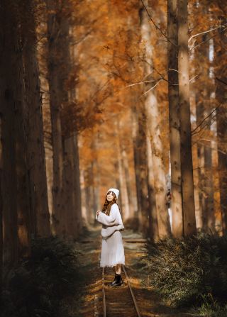 10일 후면 장쑤성에서 가장 아름다운 메타세쿼이아 숲을 볼 수 있습니다.