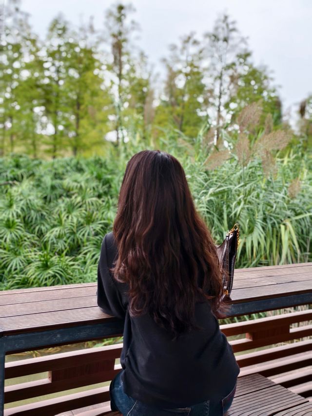 宜昌卷橋河 | 隱匿於城市的詩意綠洲 。