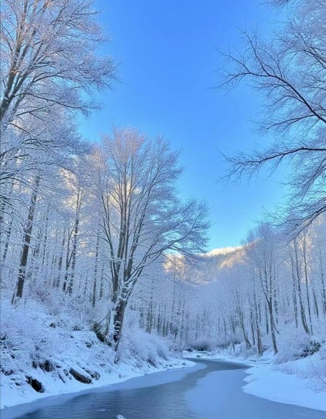 冬天在長白山拍照出片率高得離譜。