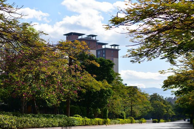 來雲南元謀，享受27℃的冬日暖陽